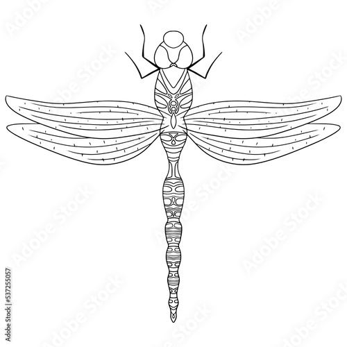 Dragonfly outline icon. Isolated on white background.
