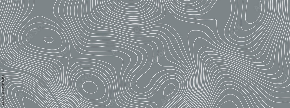 Black and white wavy abstract topographic map contour, lines Pattern background. Topographic map and landscape terrain texture grid. Wavy banner and color geometric form. Vector illustration. Black and white wavy abstract topographic map contour, lines Pattern background. Topographic map and landscape terrain texture grid. Wavy banner and color geometric form. Vector illustration.