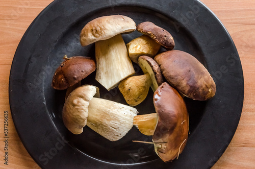 Raw Boletus edulis, penny bun, cep, porcino or porcini, top view of many edible mushrooms on a plate in the kitchen