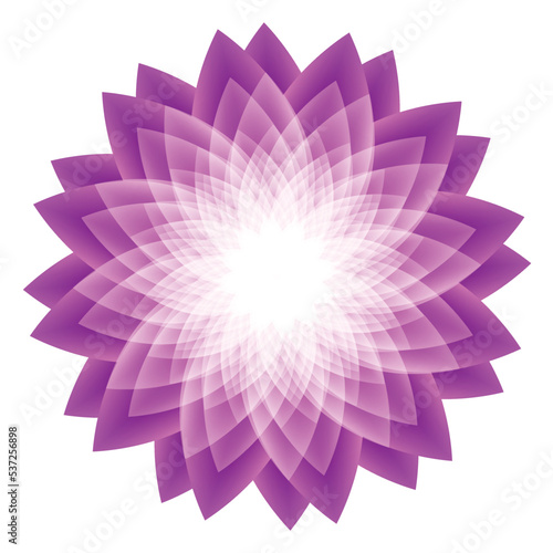 Lotus sacral flower vector illustration. Spiritual symbol.