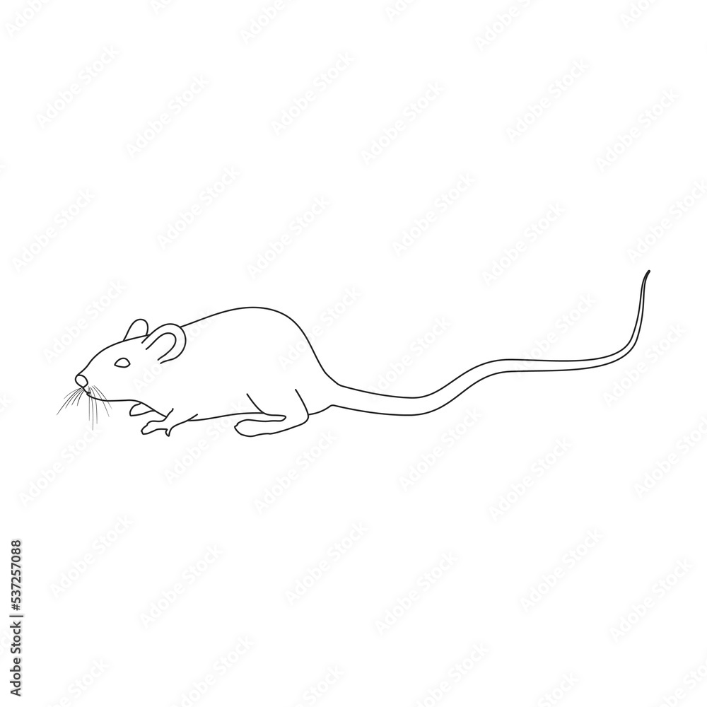 Fototapeta premium Mouse vector icon.Outline vector icon isolated on white background mouse.