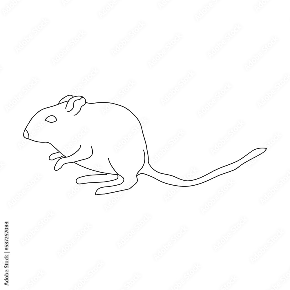 Mouse vector icon.Outline vector icon isolated on white background mouse. Mouse vector icon.Outline vector icon isolated on white background mouse.