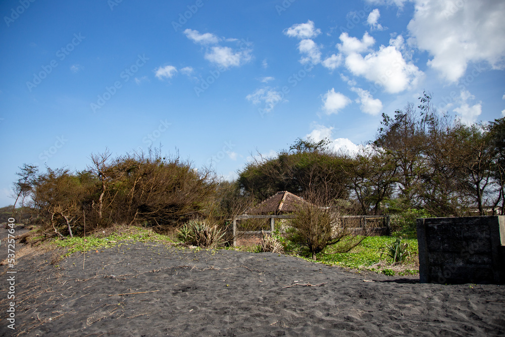 A land of sands with she--oak trees growing A land of sands with she--oak trees growing