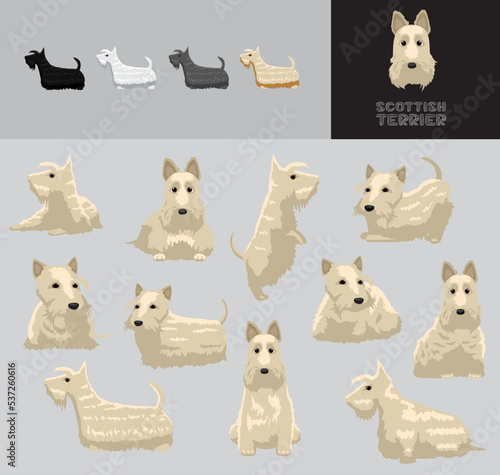 Dog Scottish Terrier Wheaten Coat Cartoon Vector Illustration Color Variation Set
