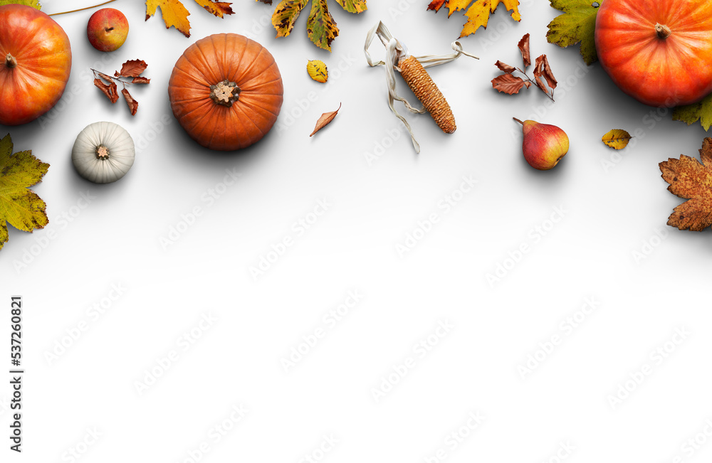 A Thanksgiving autumn harvest background of pumpkins, pears, leaves and corncobs isolated against transparent background. - obrazy, fototapety, plakaty 