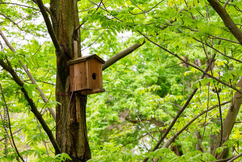 Bird house on a tree. Wooden birdhouse, nesting box for songbirds in park.