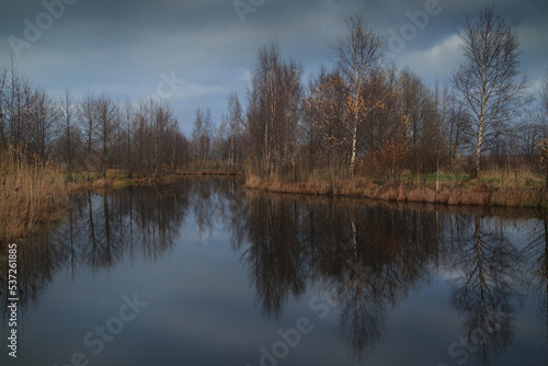 Autumn landscape with a lake on a gloomy day.