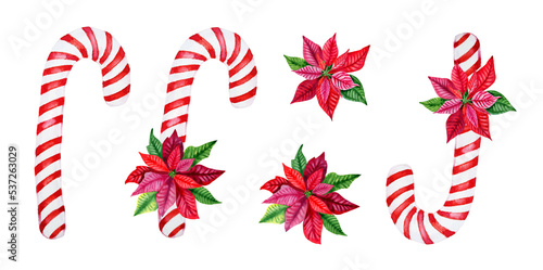 Traditional striped red and white Christmas candy set. Hand drawn caramel and poinsettia illustration for postcards and invitations. Watercolor clip art for the new year.