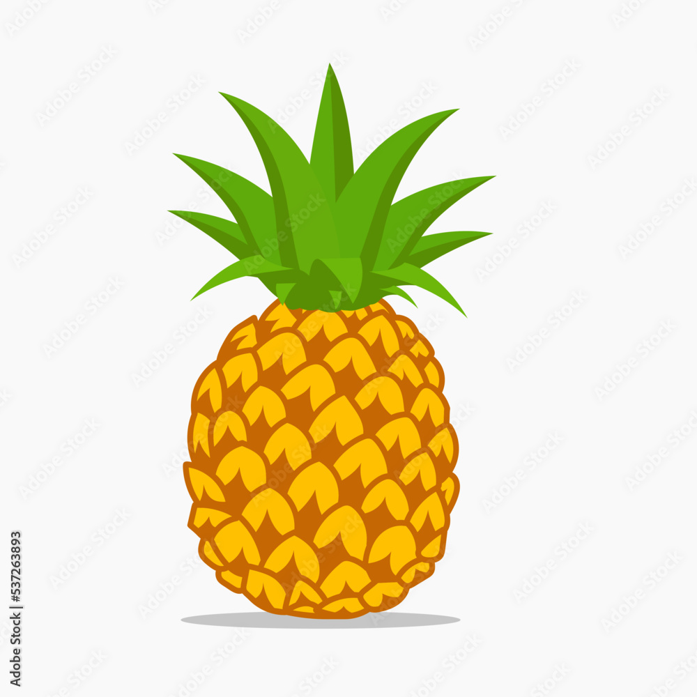 Pineapple fruit vector illustration cartoon Pineapple fruit vector illustration cartoon