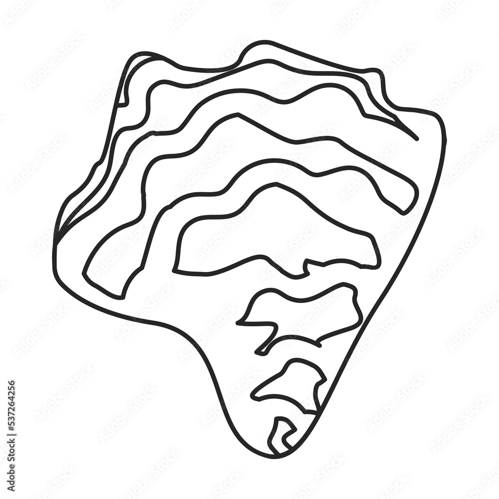 Oyster vector icon.Outline vector icon isolated on white background oyster. Oyster vector icon.Outline vector icon isolated on white background oyster.