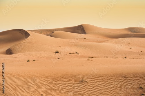 Landscape photo of desert and sand dune under the golden hour sunset sky in Dubai, UAE