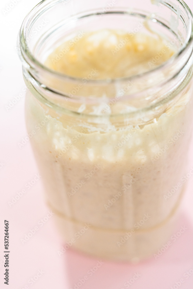 Sourdough starter Sourdough starter