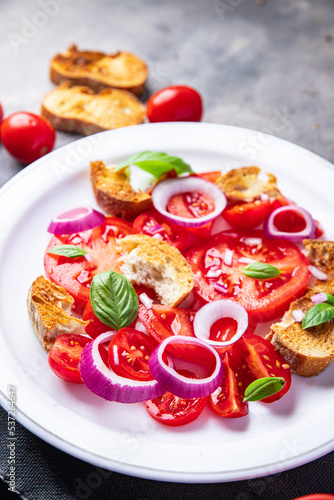tomato salad panzanella dried bread, onion vegetablehealthy meal food snack diet on the table copy space food background 
