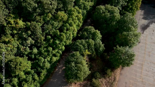 A car Park at Hoffmaster State Park. photo