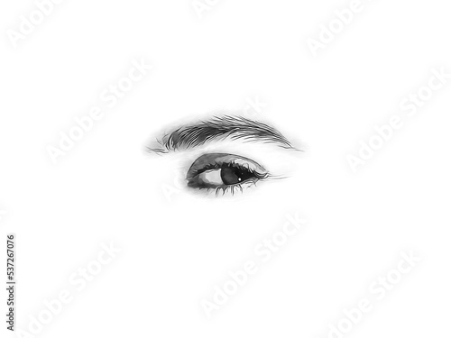 Drawn sexy female eye on a white background. Sketch of female eyes © Life Background