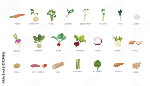 Variety of root vegetables on white background.