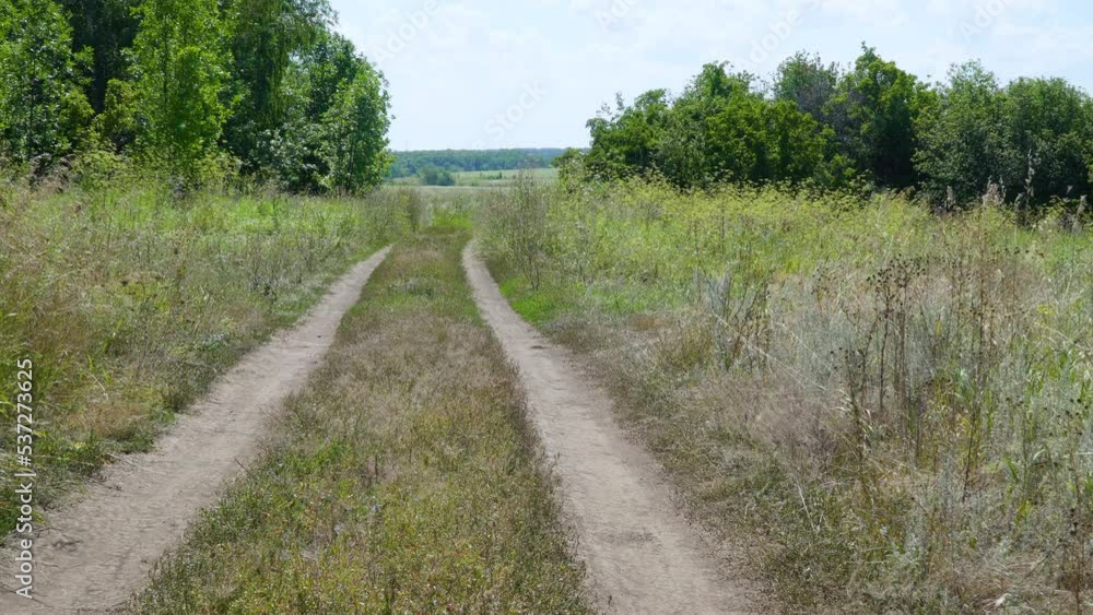 Rural dirt road running through the green fields in scenic countryside. Static camera.
