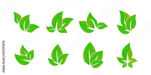 Green Leaves Set Vector Logo Template Illustration Design. Vector