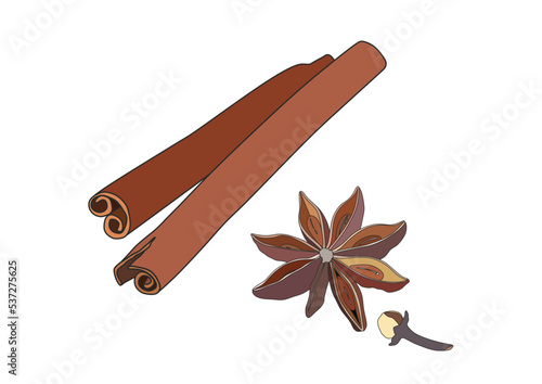 Vector illustration, two cinnamon roll stick and star anise, isolated on a white background.