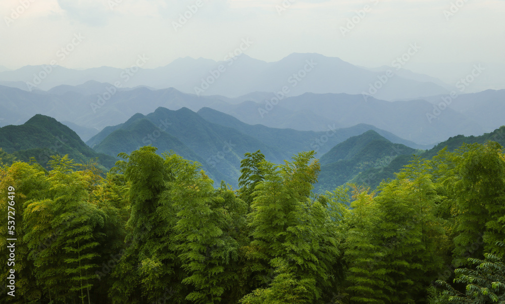 cloudy mountains and green forest 
