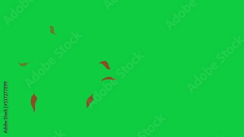 Stylized flat leaves blowing in the wind, 4k animation, green screen included