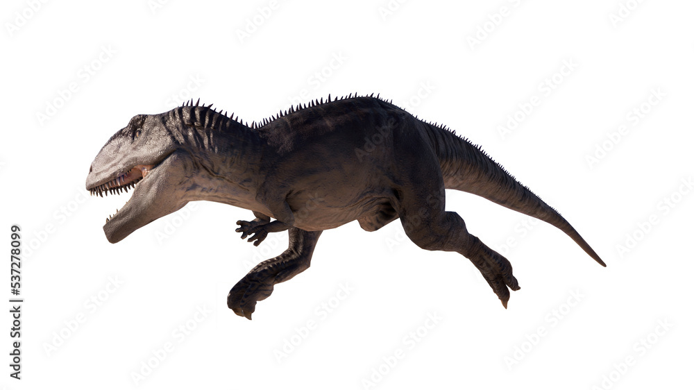 Giganotosaurus dinosaur isolated on blank background PNG Giganotosaurus dinosaur isolated on blank background PNG