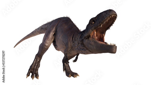 Giganotosaurus dinosaur isolated on blank background PNG © akiratrang