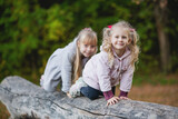 Two cute children climb, balance on a fallen log in an park.
