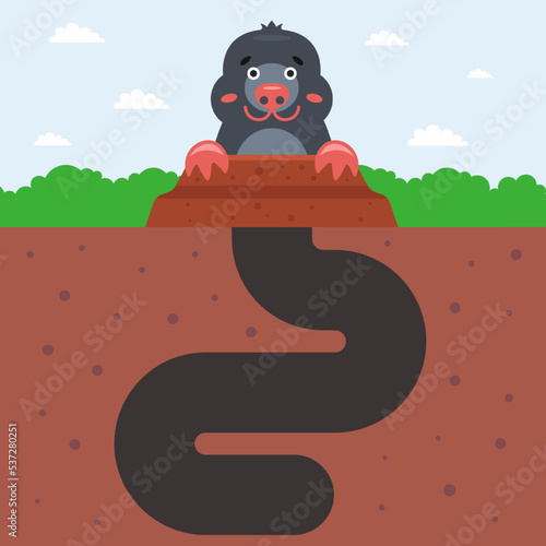 deep hole of a funny mole. flat vector illustration.