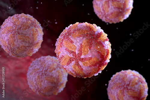 Powassan virus particles photo