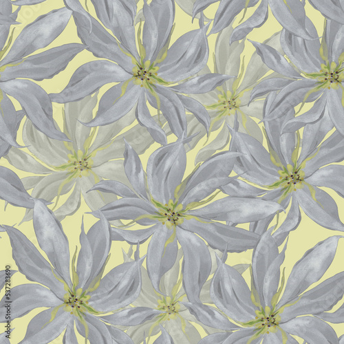 Seamless pattern with flowers lily.