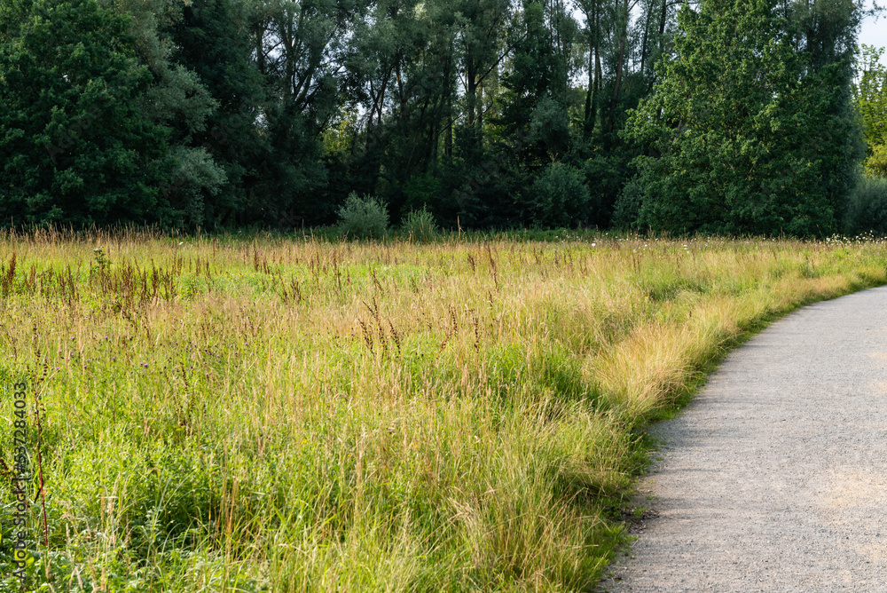 Green meadows and walking path in a Flemish nature reserve
