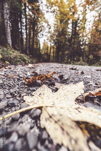 Autumn Hiking in Bavarian Alps