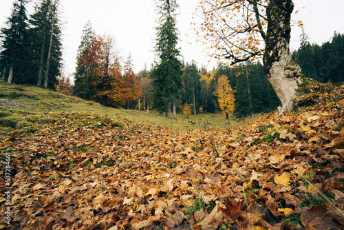 Autumn Hiking in Bavarian Alps
