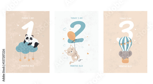Prints featuring cute sleeping animals, capturing all the special moments by month. Baby number cards for newborns. 1, 2, 3 months. Vector