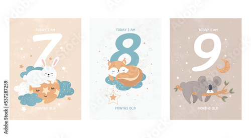 Prints featuring cute sleeping animals, capturing all the special moments by month. Baby number cards for newborns. 7, 8, 9 months. Vector