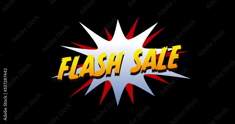 Flash Sale text in cartoon style explosion Flash Sale text in cartoon style explosion