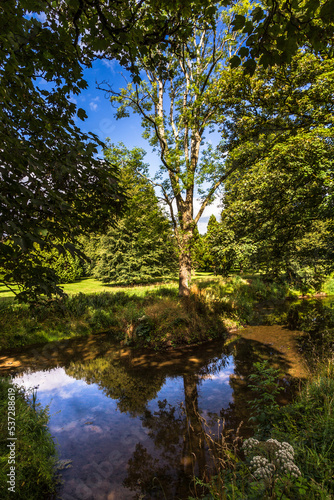 River in the forest 1