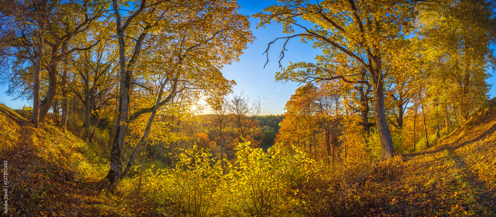 Golden color autumn landscape with sunset, Duksta park