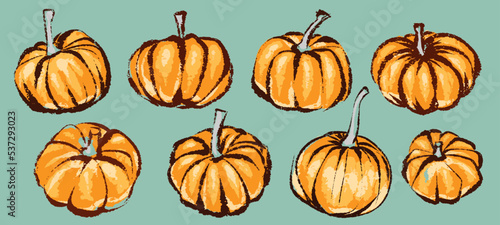 Pumpkin set for decoration halloween or thanksgiving day holidays