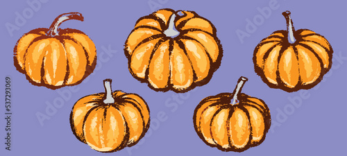 Pumpkin set for decoration halloween or thanksgiving day holidays