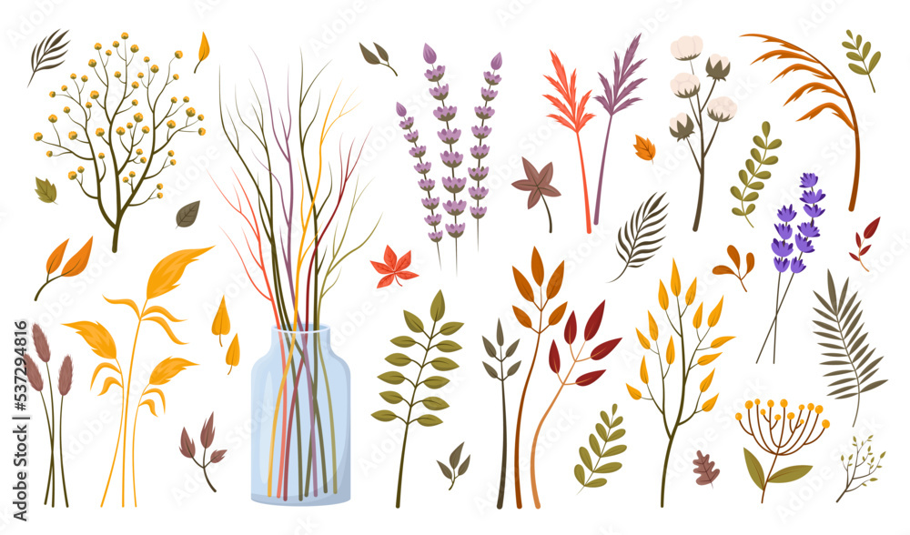 Dry autumn leaves and plants vector illustrations set. Collection of autumn bouquet elements, dry leaves and flowers, tree branches in vase on white background. Autumn, botany, decoration concept