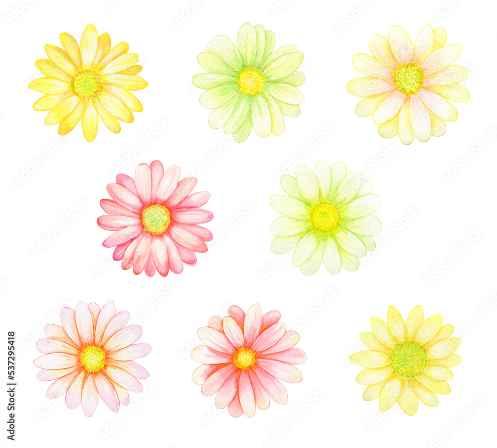 Watercolor collection of red and yellow gerberas, isolated on transparent background Watercolor collection of red and yellow gerberas, isolated on transparent background