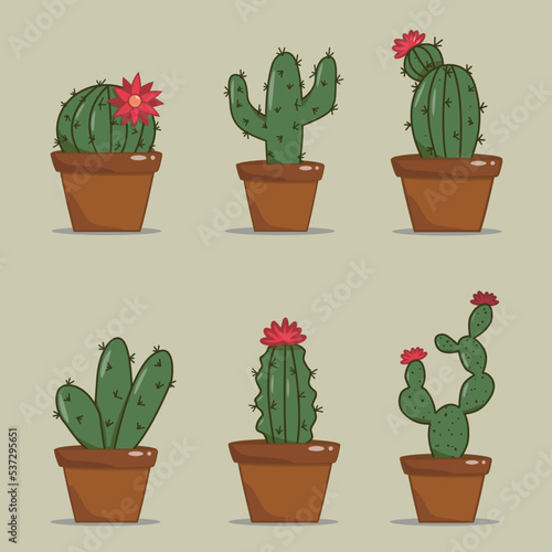 Vector set of colorful cacti in pots with outlines. Exotic and tropical plants - cacti for design, isolated. cactus drawing for design. vector