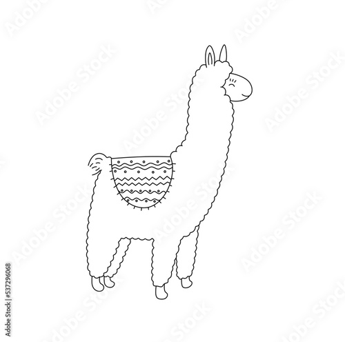 Vector isolated cute cartoon curly lama alpaca side view colorless black and white contour line easy drawing