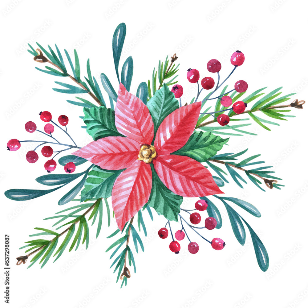 Christmas poinsettia. Watercolor bouquet with red flower,leaves,berries,pine,spruce,green twigs on white background. New Year floral composition for greeting card, design.
