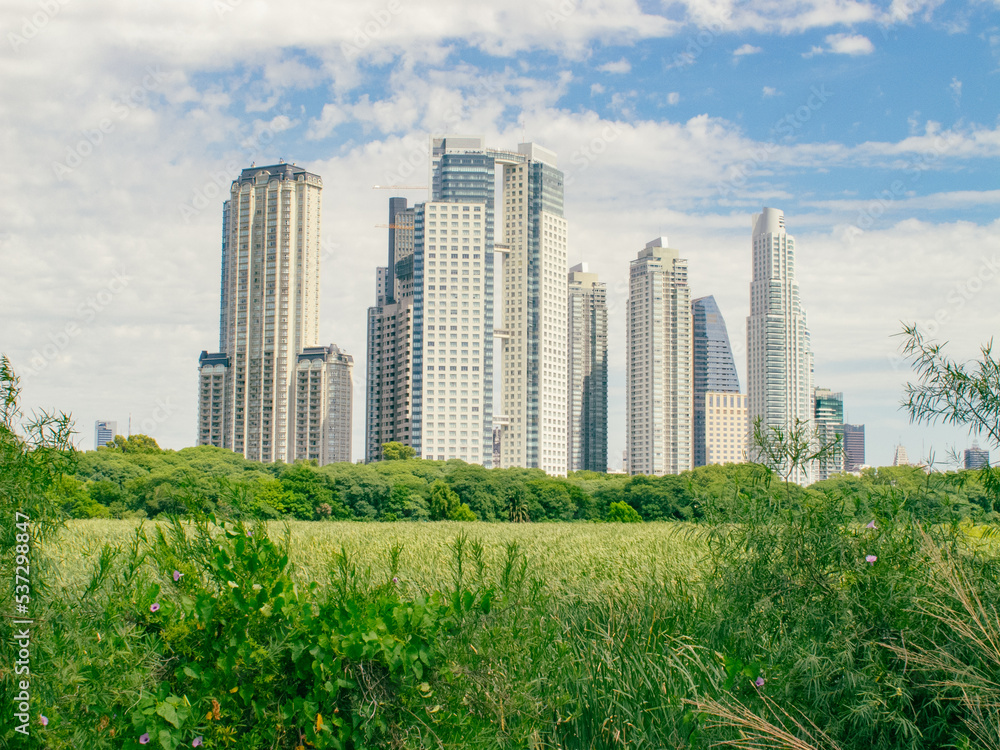 Obraz premium CIUDAD VERDE