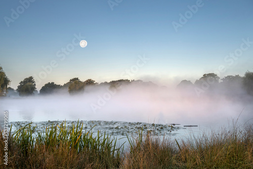 Misty pond with moon in the sky