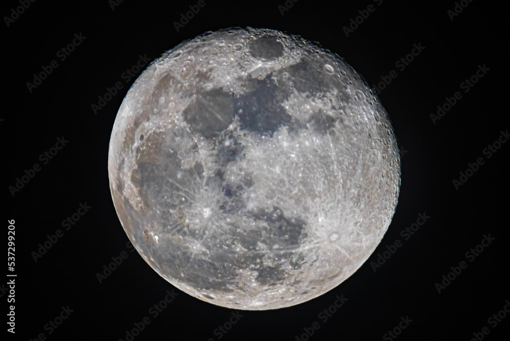 Obraz premium moon in the night