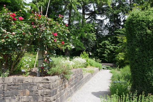 Botanischer Garten Hardtanlage Wuppertal